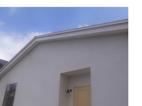 �����������